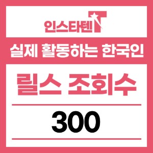 실제 활동하는 한국인 릴스 조회수 300개